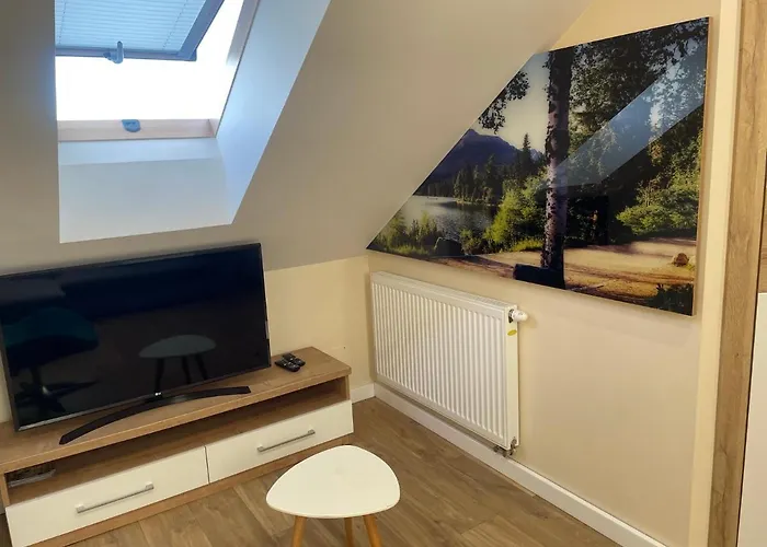 アパート & Stara Polana - Free Parking ザコパネ